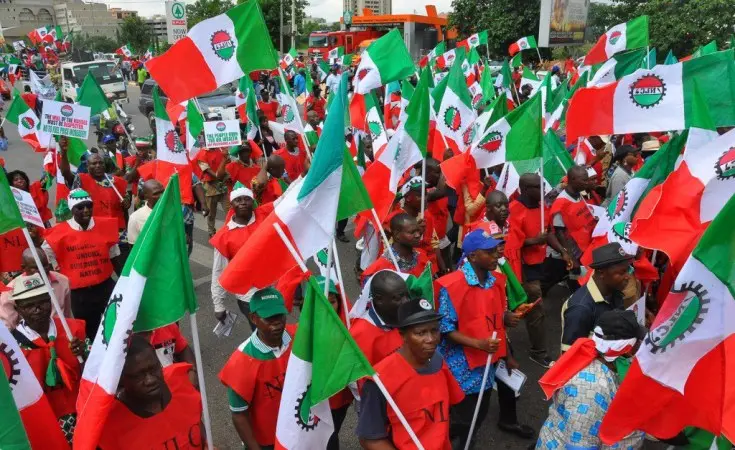 Nigeria's NLC to embark on a nationwide demonstration over University closures