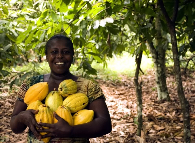 Ghana's Cocobod secures a $1.13 billion credit for cocoa in 2022-2023