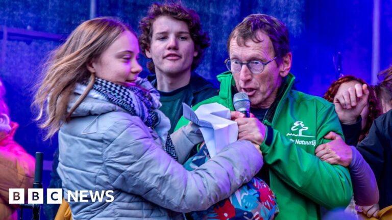 Man snatches Greta Thunberg’s microphone after she chants pro-Palestinian slogans at local weather rally