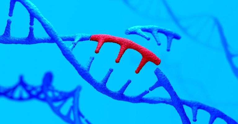 The primary Crispr drug simply acquired accepted