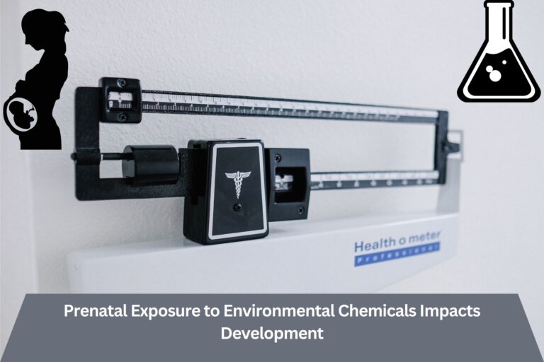 Prenatal publicity to environmental chemical substances impacts improvement